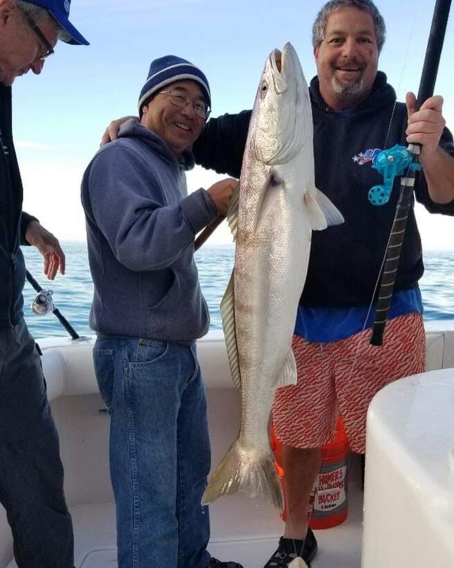 Long Beach Sportfishing — catch photo